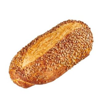 BO pane maire bruin spelt tarwe zonnepit