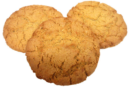 spelt haverkoeken naturel