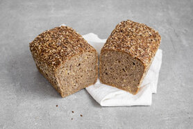 Duizendpit Duizendpit